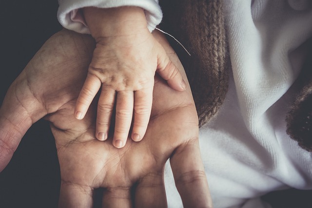 child support in the Philippines involving Family Court support cases and enforcement under Philippine law