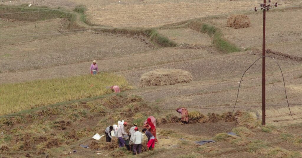 Buying Land With Existing Tenants in the Philippines
