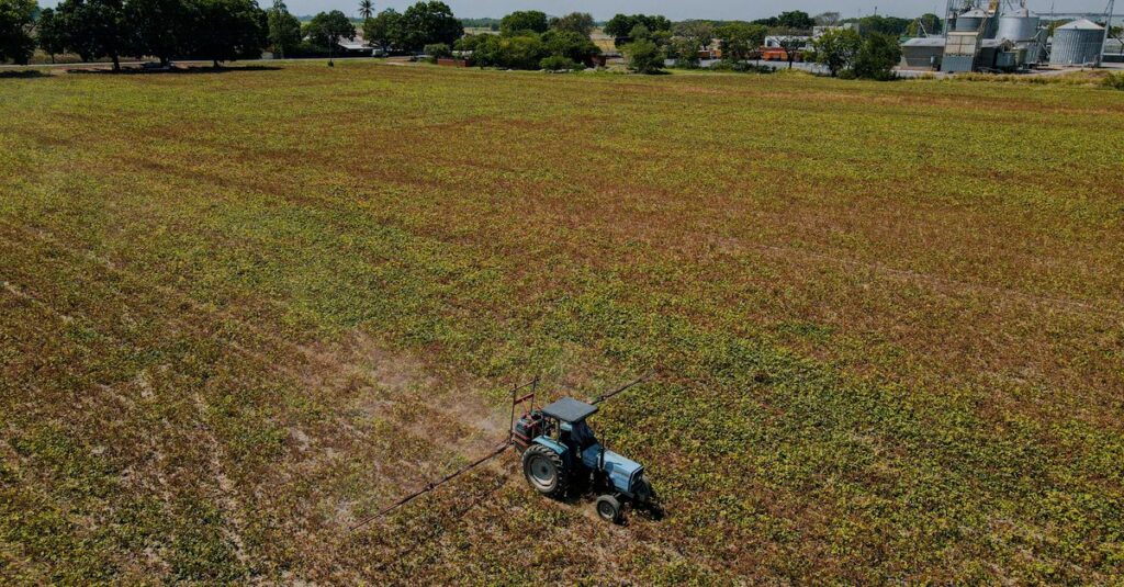 Buying Land With Existing Tenants in the Philippines