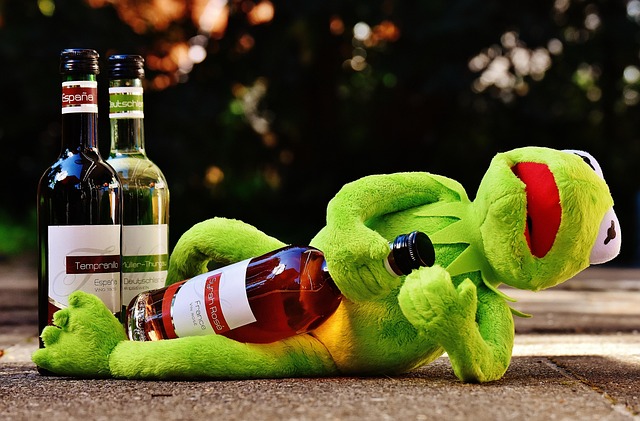 kermit, frog, wine, drink, alcohol, drunk, relax, to sit, figure, fun, nature, frogs, animal, plush, stuffed animal, france, spain, germany, wine bottle
